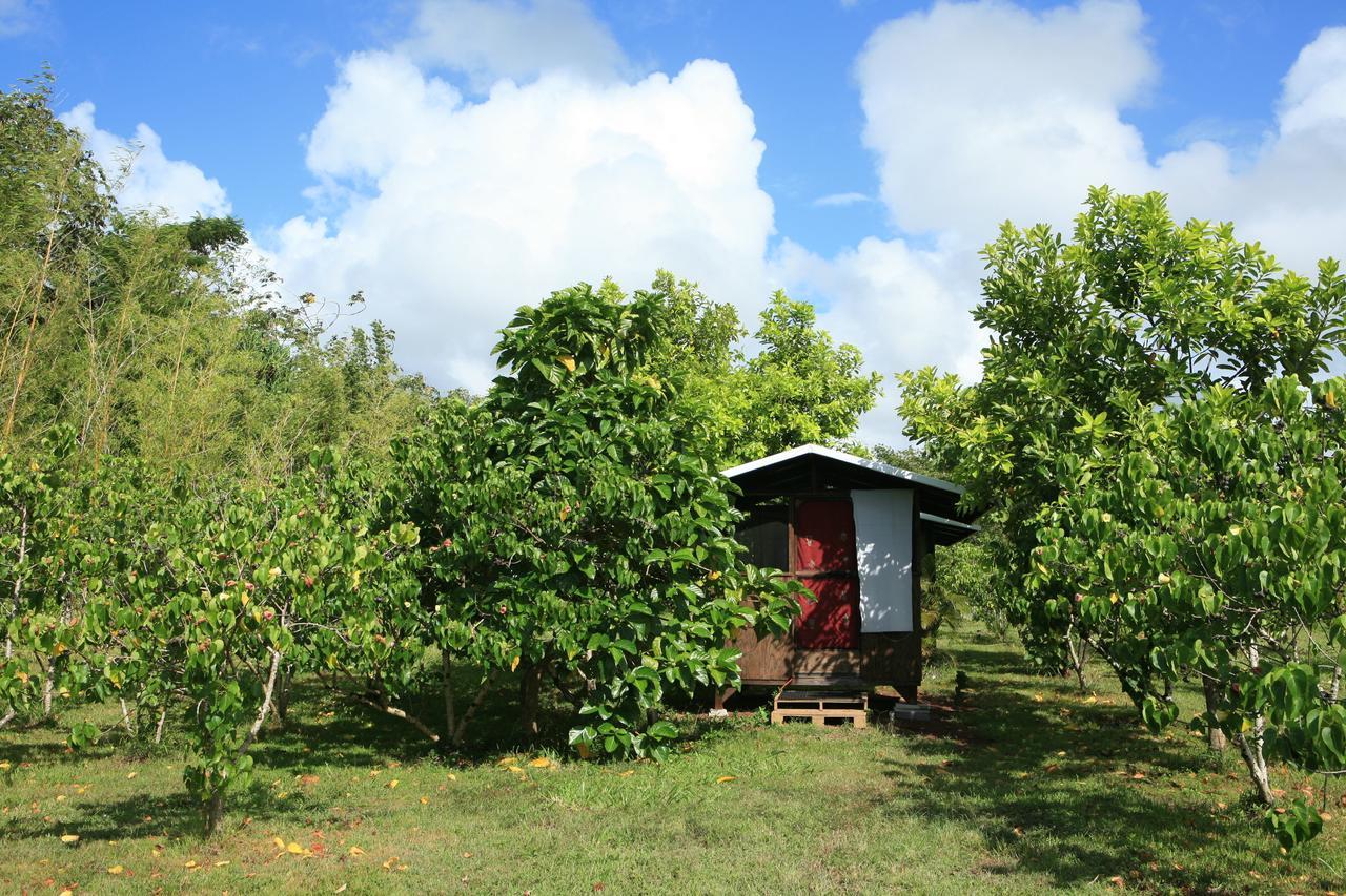 Kirpal Meditation And Ecological Center Pahoa Exteriér fotografie