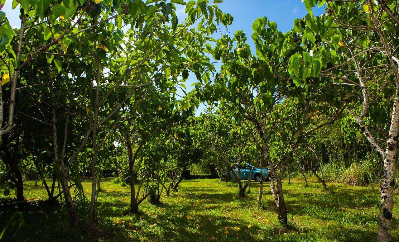 Kirpal Meditation And Ecological Center Pahoa Exteriér fotografie