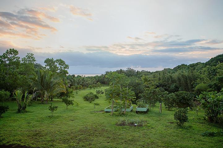 Kirpal Meditation And Ecological Center Pahoa Exteriér fotografie