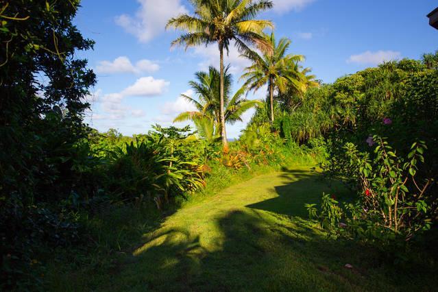 Kirpal Meditation And Ecological Center Pahoa Exteriér fotografie