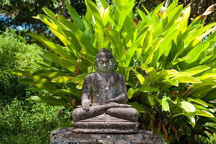 Kirpal Meditation And Ecological Center Pahoa Exteriér fotografie